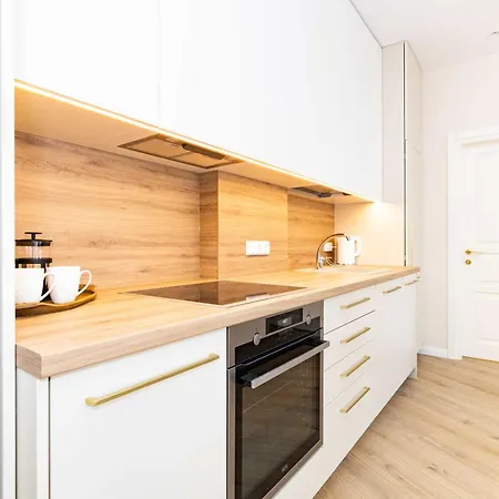 Cohost I Sunny, Bright & New Apt W-balcony @ Renesanso * Vilnius